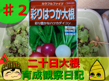 Thumbnail of post image 156